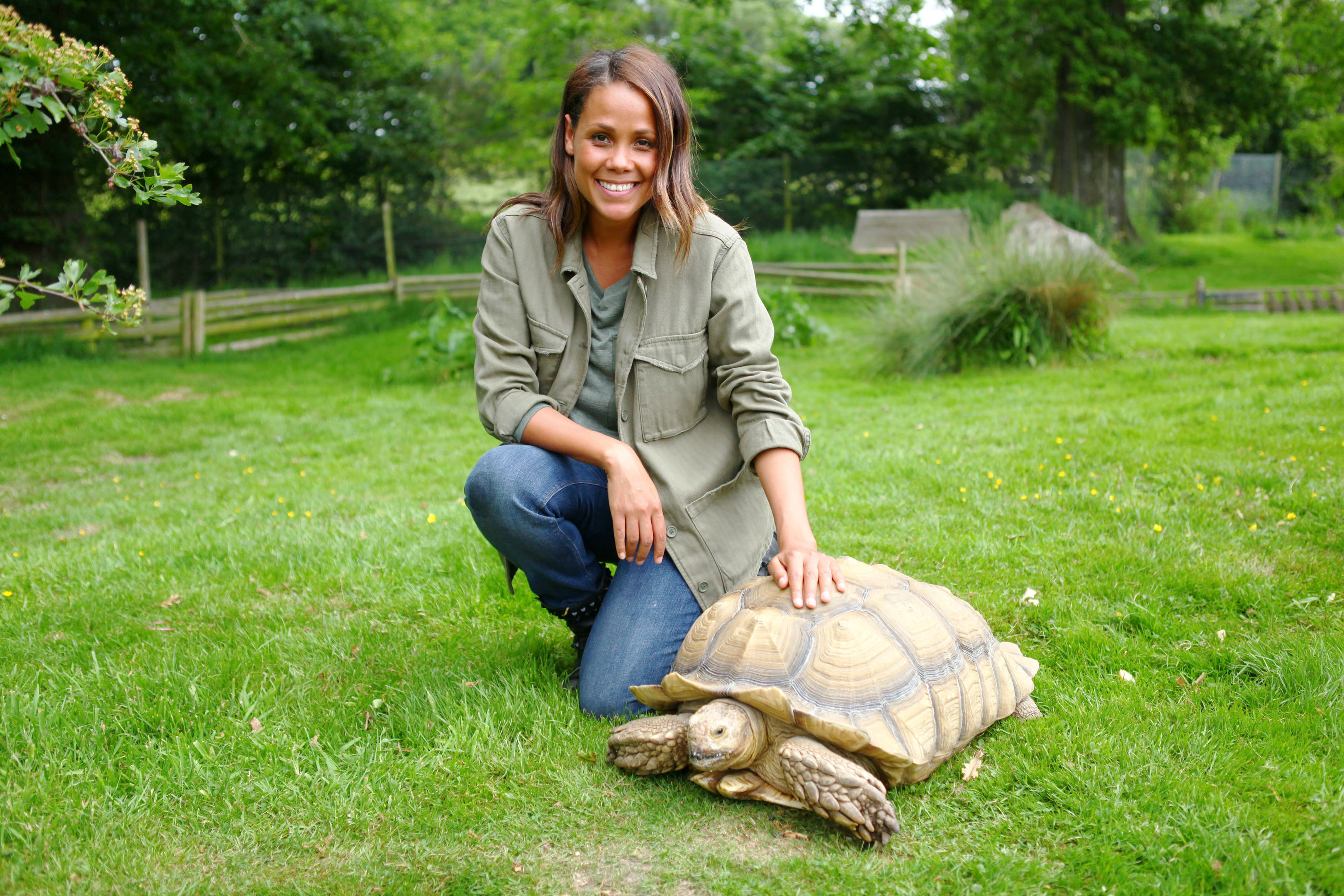 Grumpy tortoise gave Jean Johansson the runaround on Animal Park TV show -  The Sunday Post