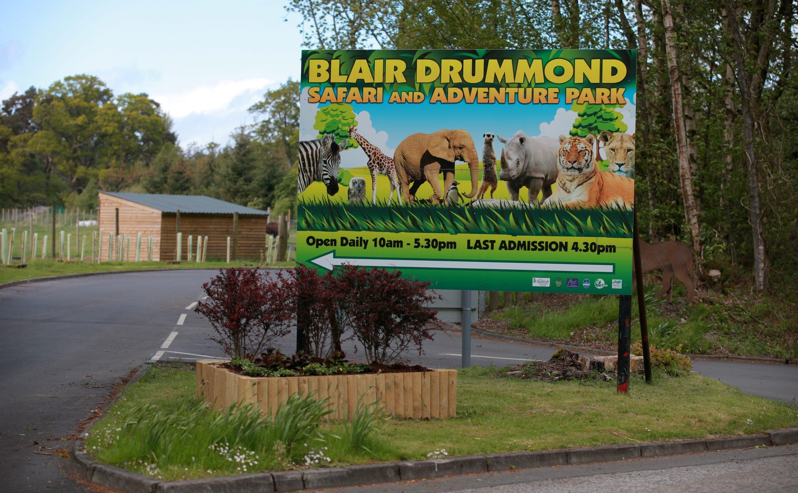 blair drummond safari park xmas
