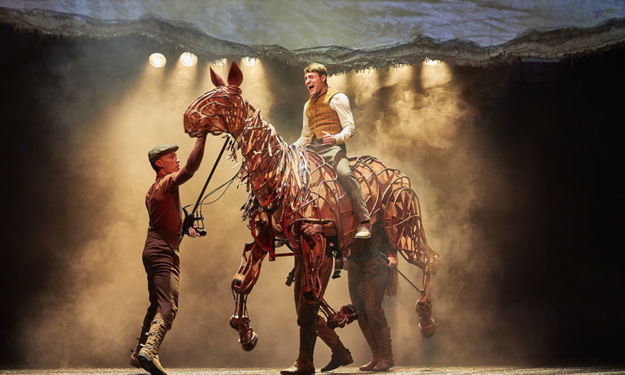 Image result for war horse