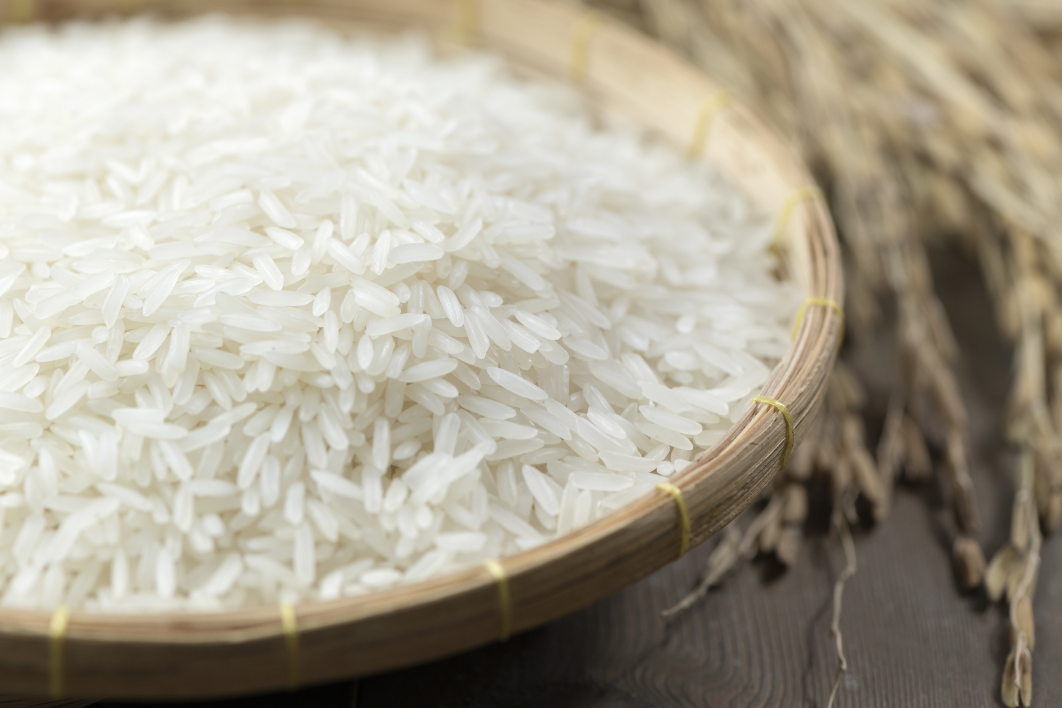 why rice is important in our life essay